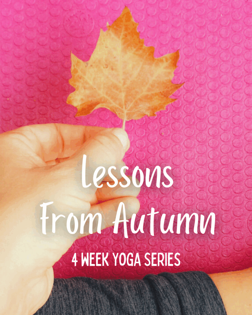Lessons from Autumn 
4 week yoga series
Picture of a hand holding an orange leaf over a pink yoga mat