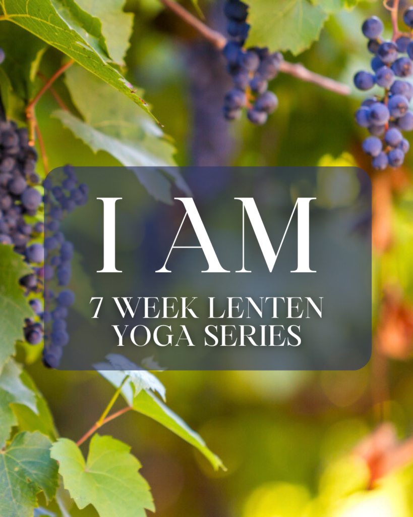 I AM
7 week Lenten Yoga Series
Background image has purple grapes on vines